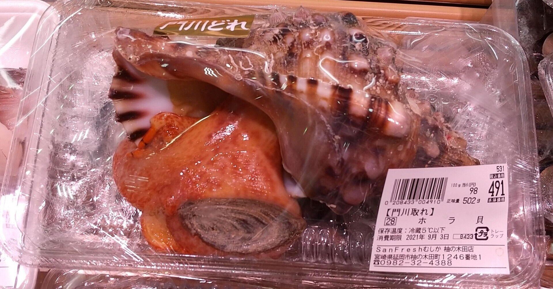 ほら貝を調理して食べた話 宮崎県 山中はるな Note