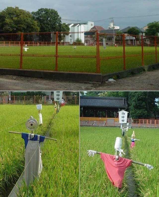画像12