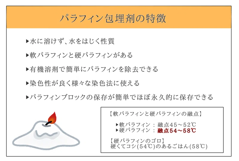 【病理学】パラフィン包埋について｜タケイ