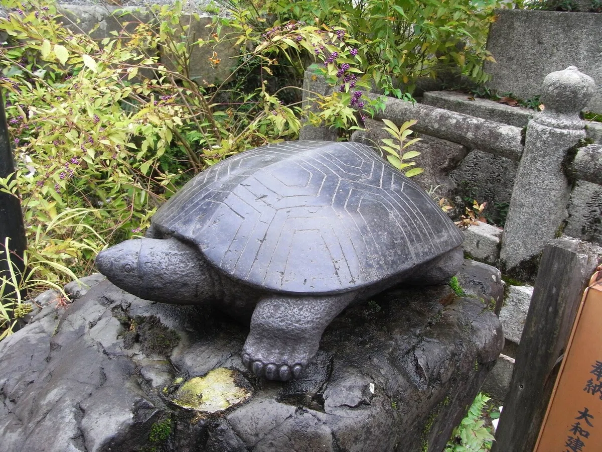 画像5
