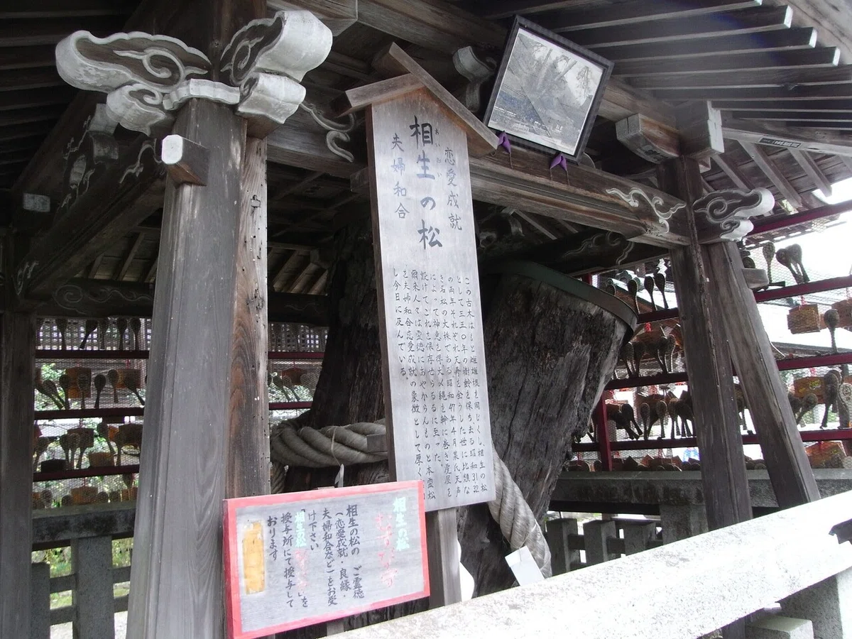 画像6