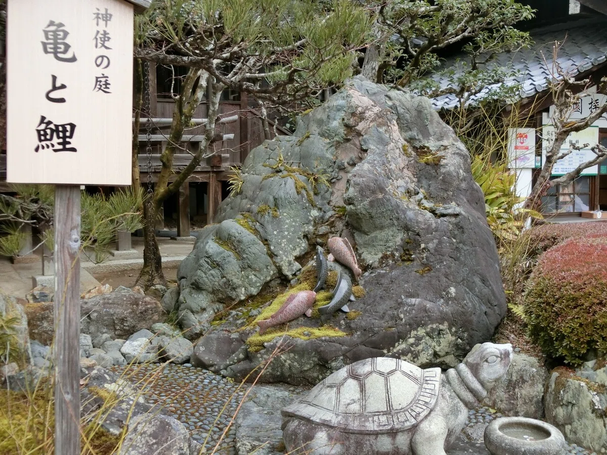 画像8