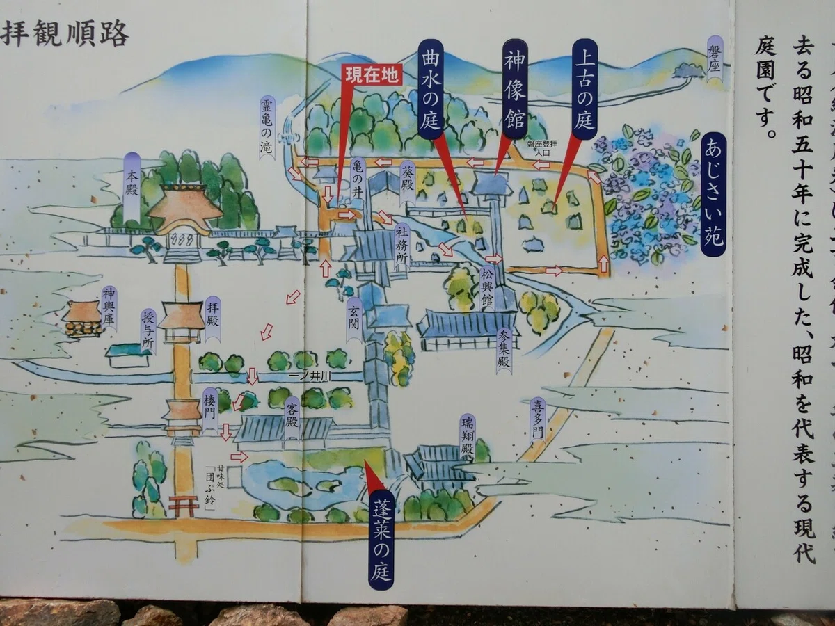 画像9