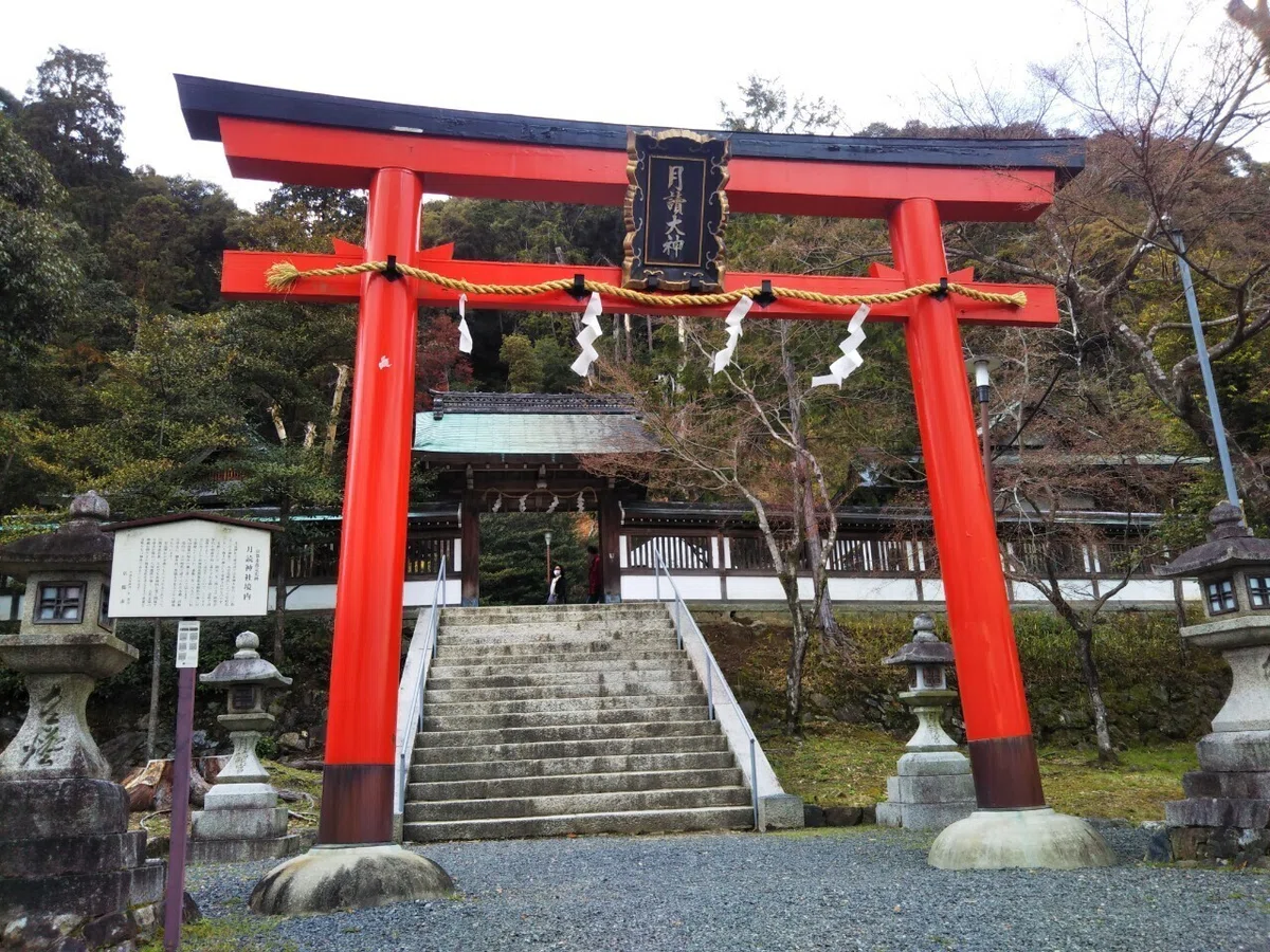 画像18