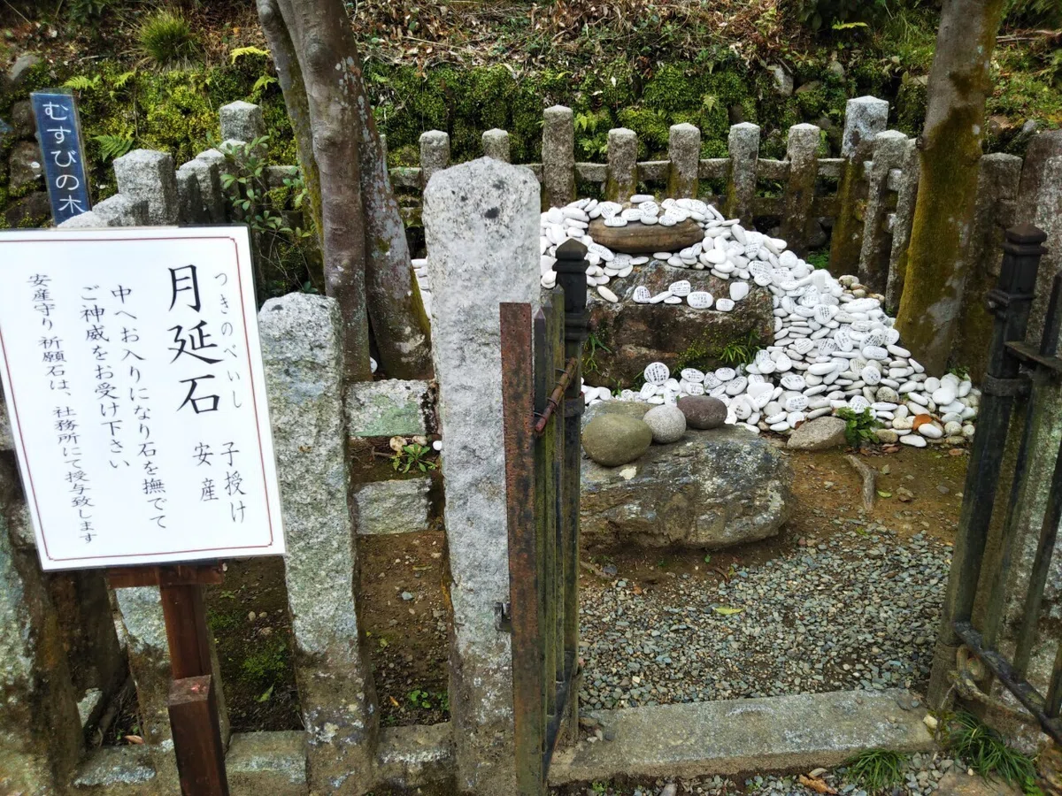 画像19