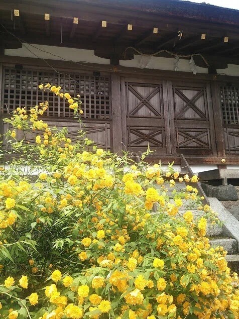 画像22
