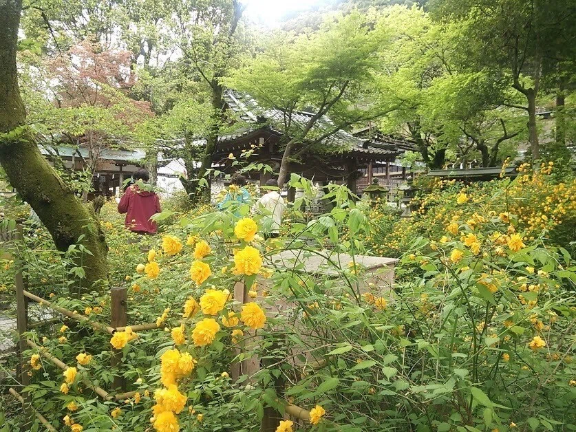 画像23