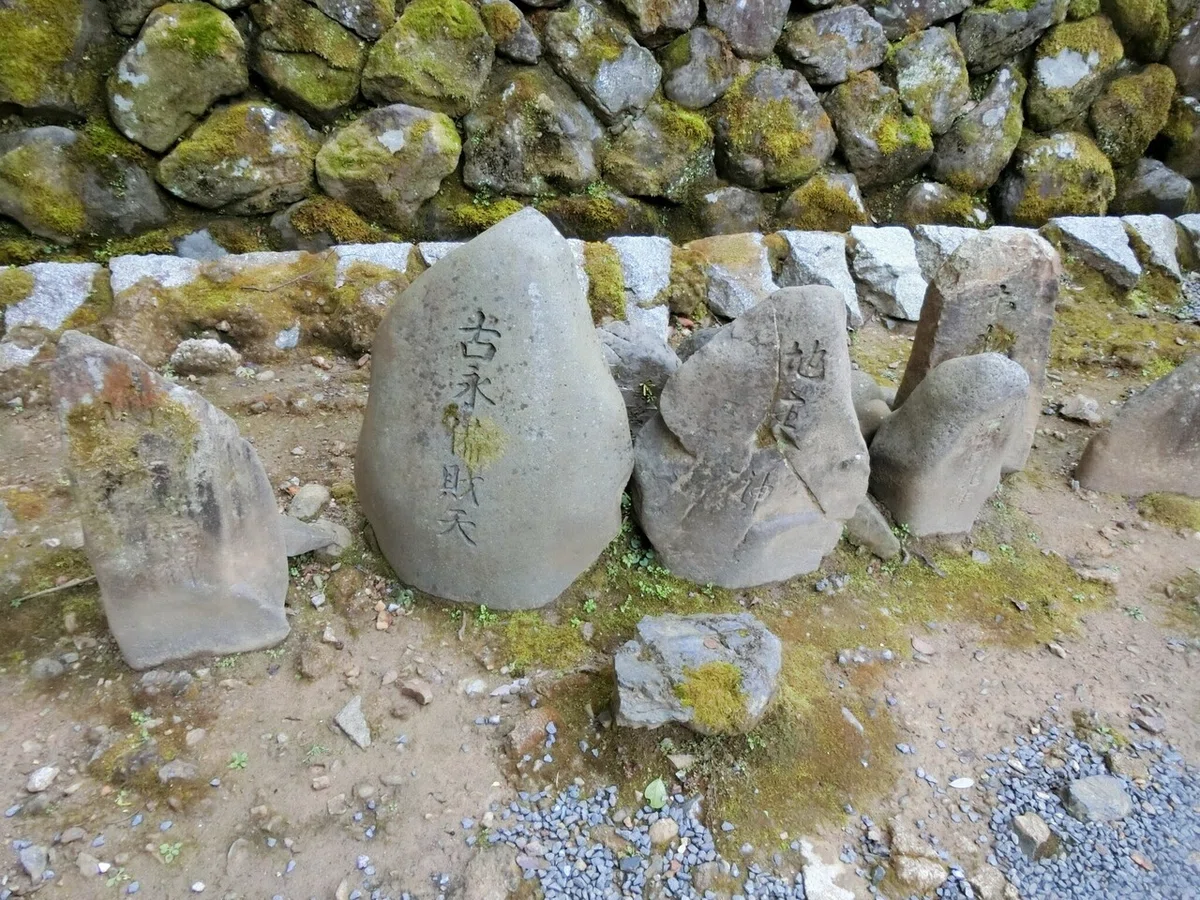 画像44