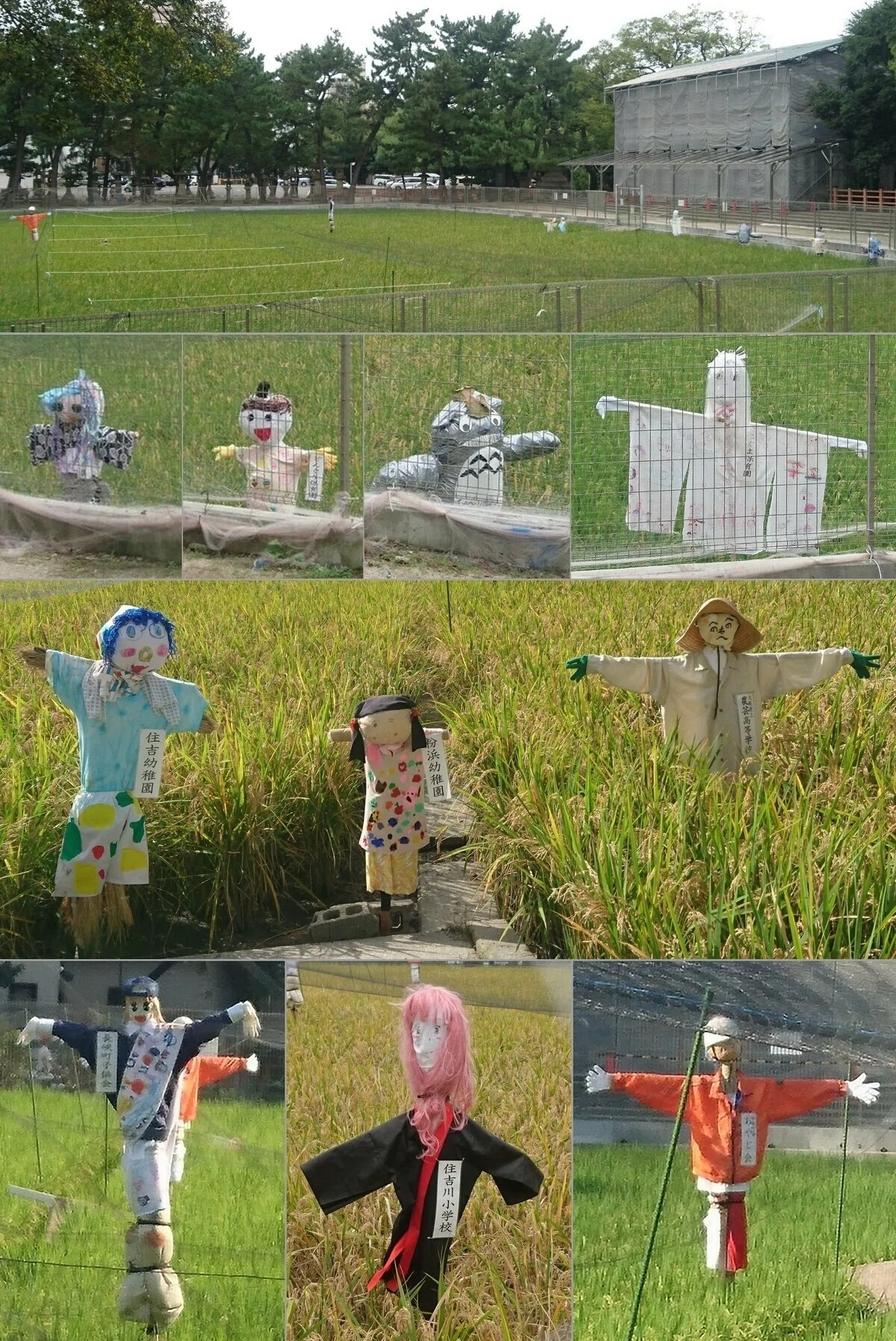 画像16