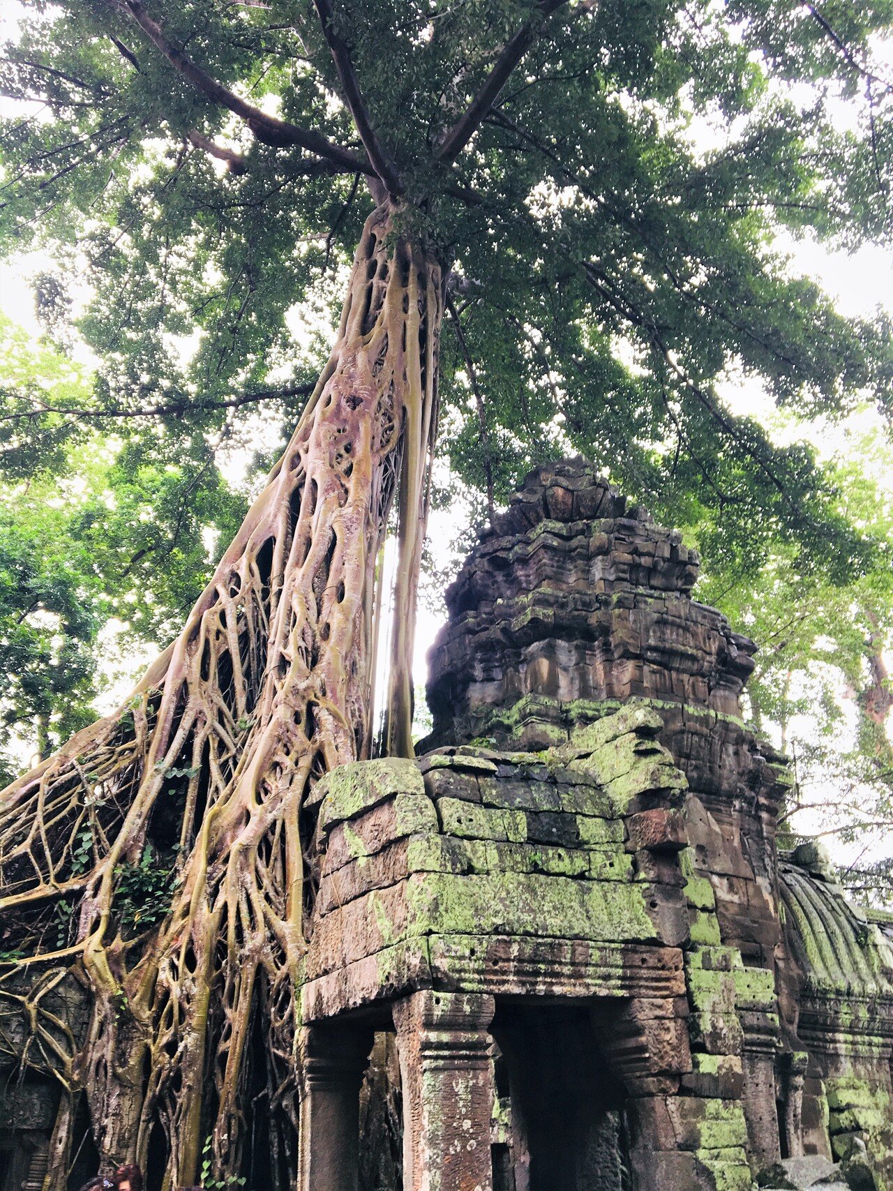 旅日記】カンボジアの旅（2）雨のアンコール・ワットもまたよろし