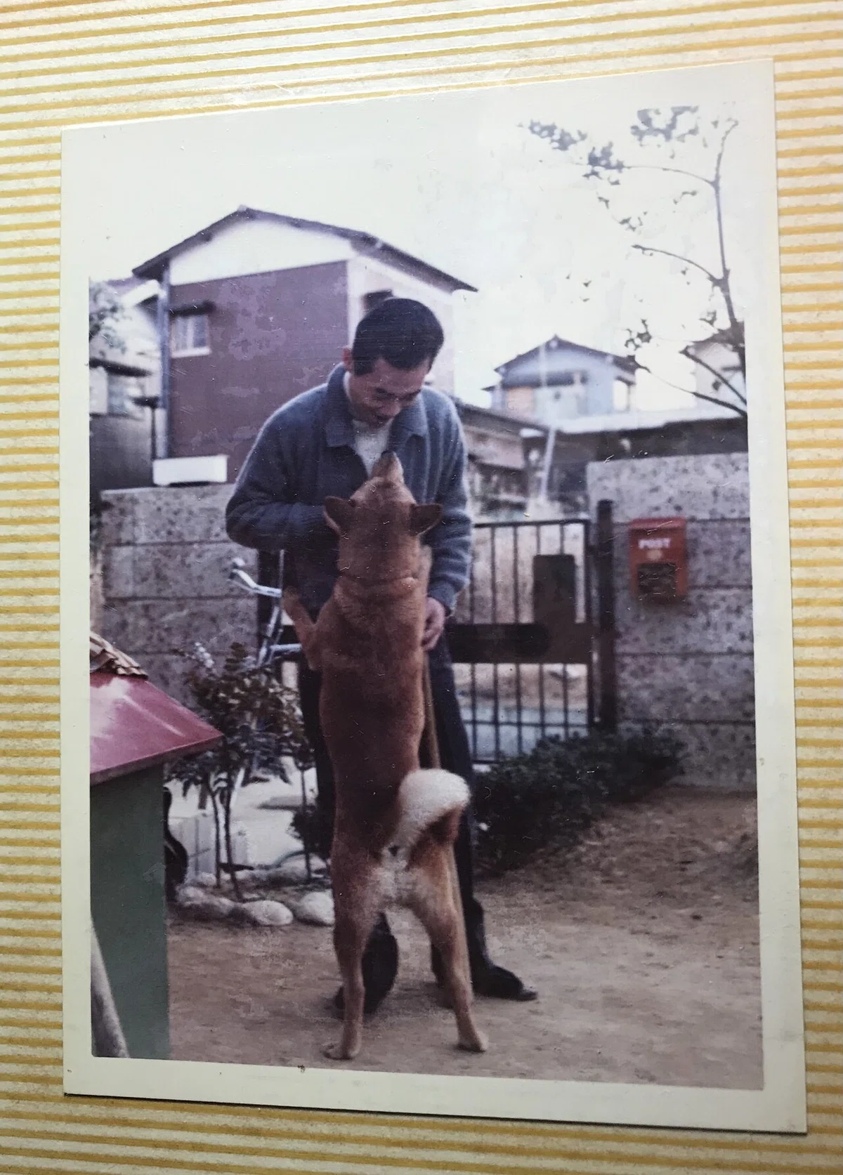 画像7