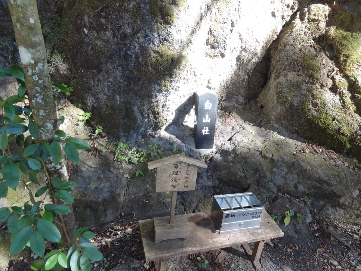 画像11