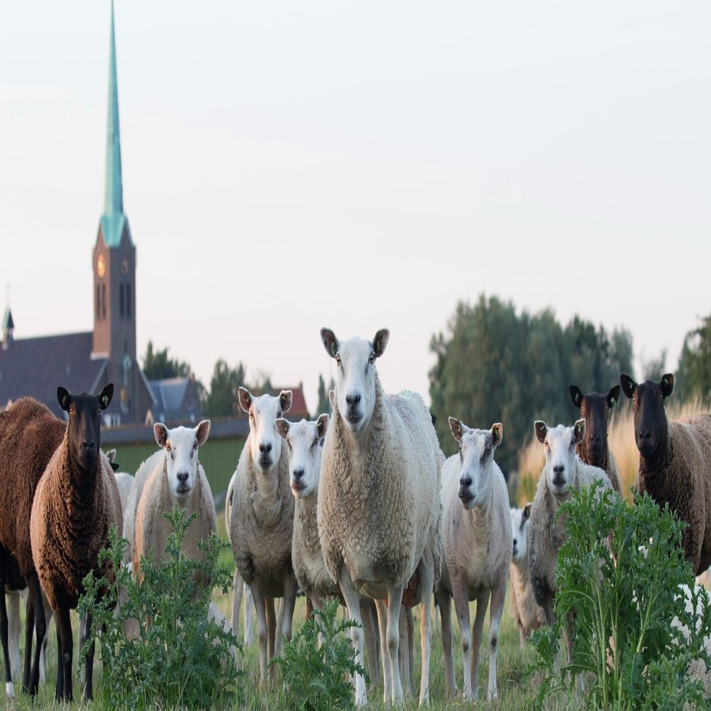 キリスト教は同性愛を受け入れられるか キリスト教は同性愛を受け入れられるか | ジェフリー S.サイカー