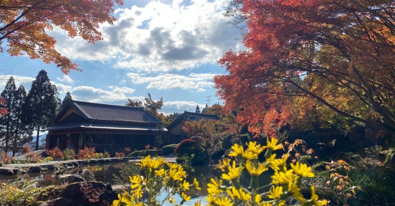 癒し効果 の新着タグ記事一覧 Note つくる つながる とどける 癒し効果 の新着タグ記事一覧 Note つくる つながる とどける