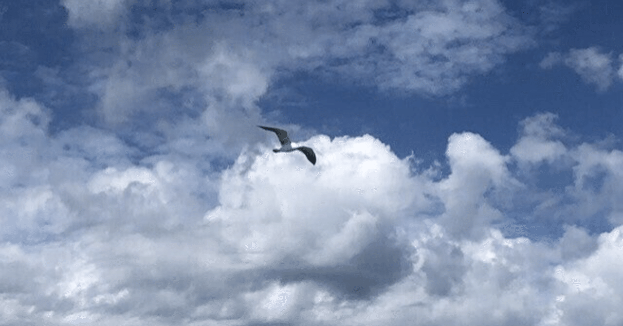 私の好きな楽曲 変えられるのは未来だけ By Kreva Tomoka Note 私の好きな楽曲 変えられるのは未来だけ By Kreva Tomoka Note