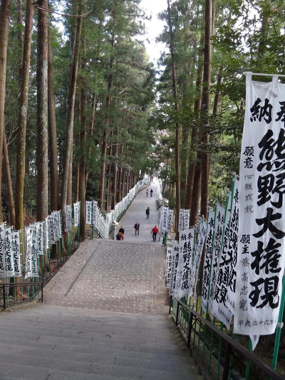画像4