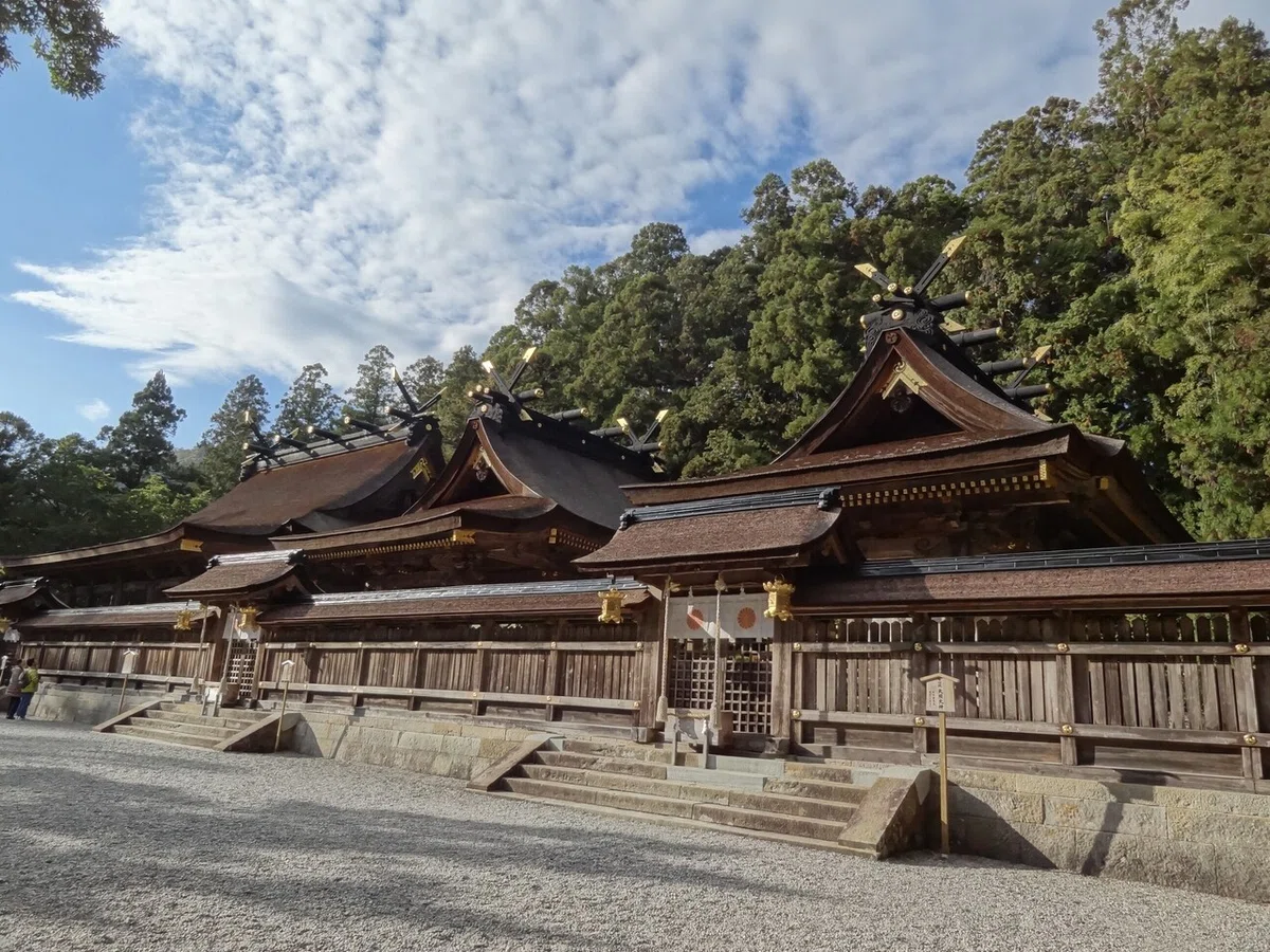 画像7