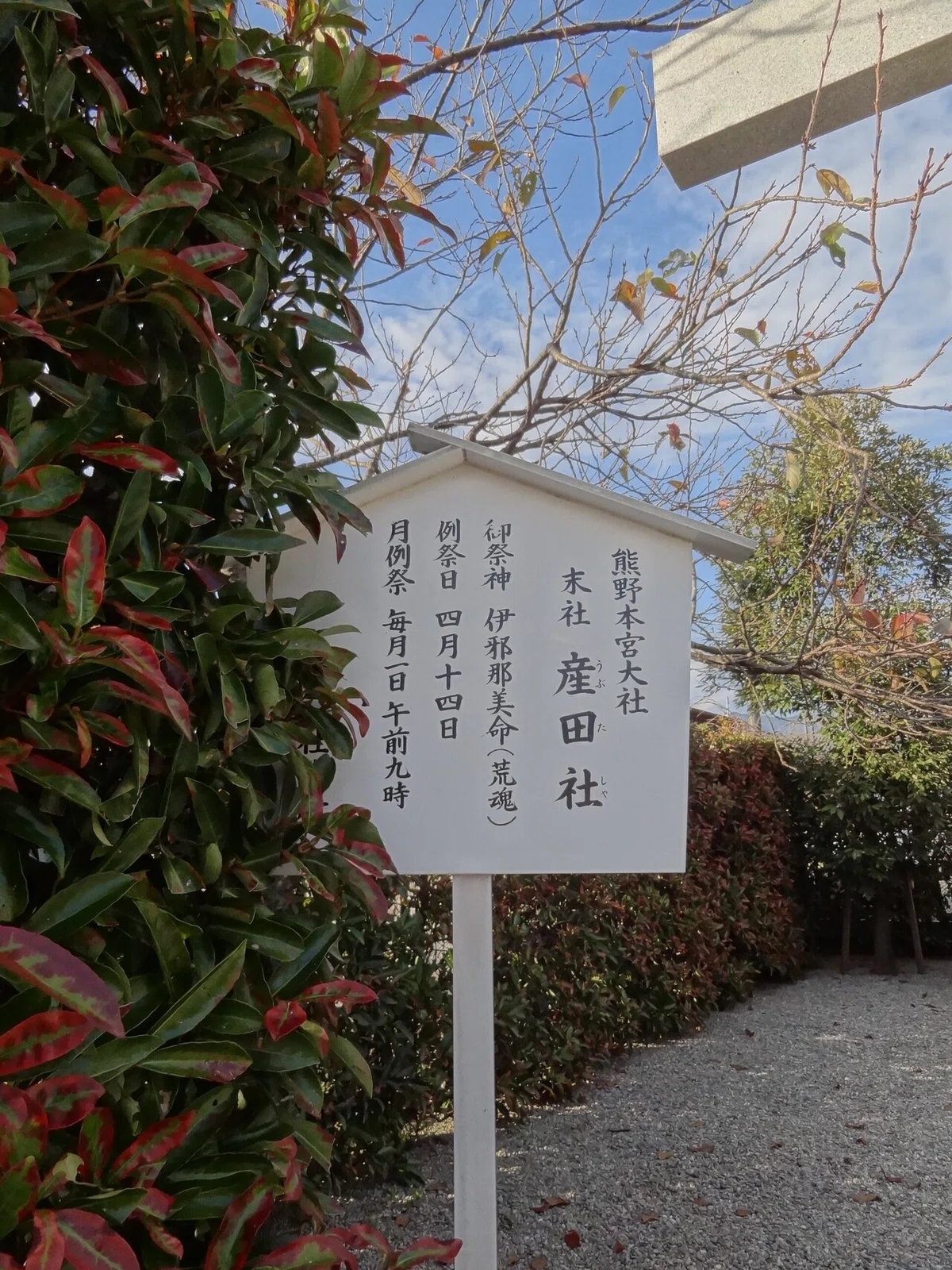 画像11