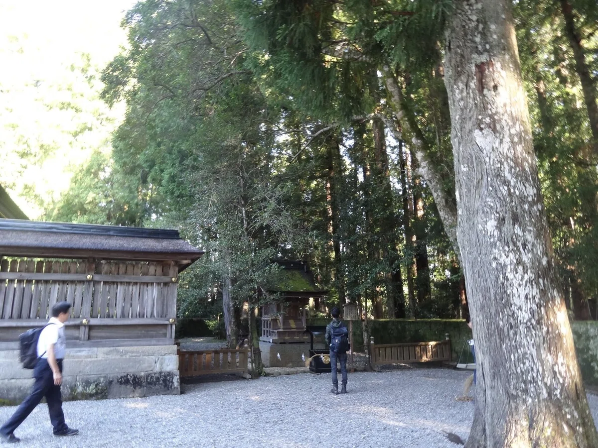 画像16