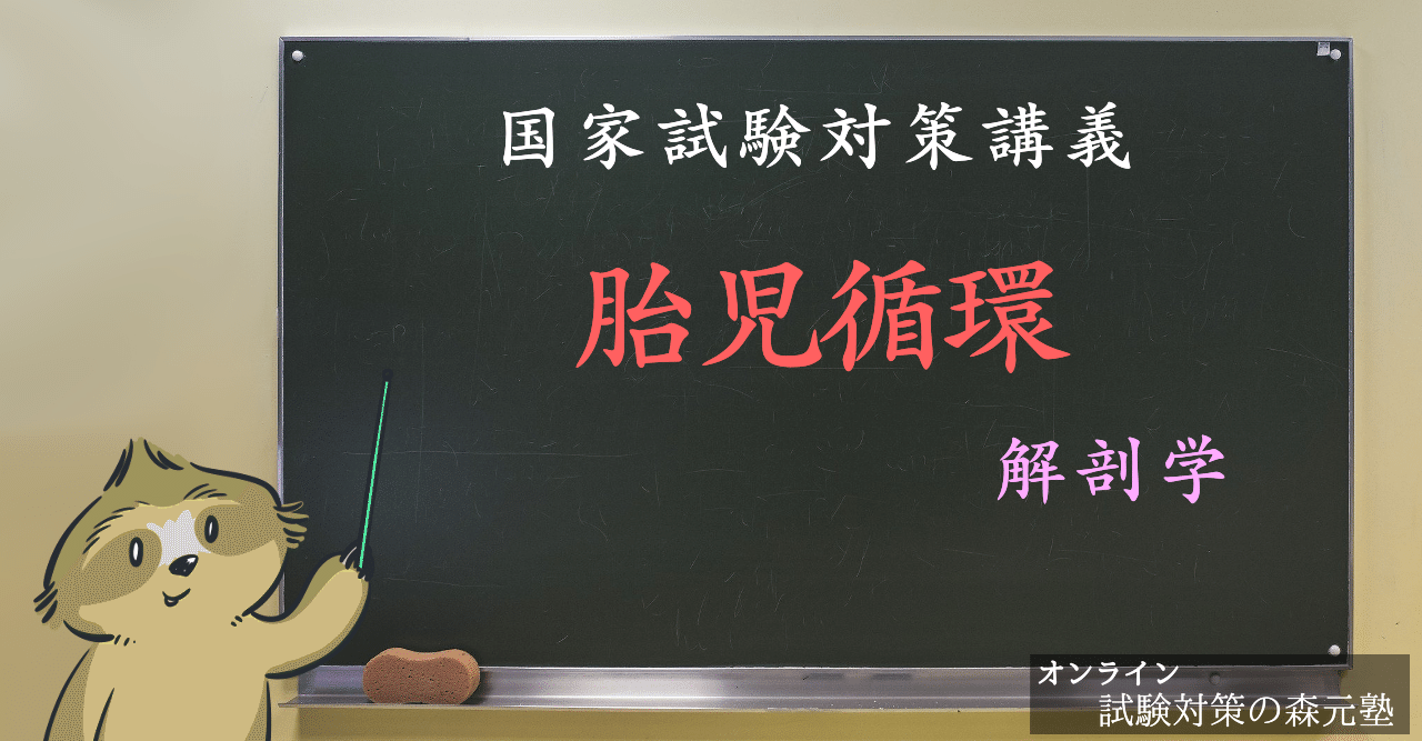 解剖学 図解イラストとゴロで簡単 胎児循環 の覚え方 森元塾 国家試験対策 Note 解剖学 図解イラストとゴロで簡単 胎児循環 の覚え方 森元塾 国家試験対策 Note