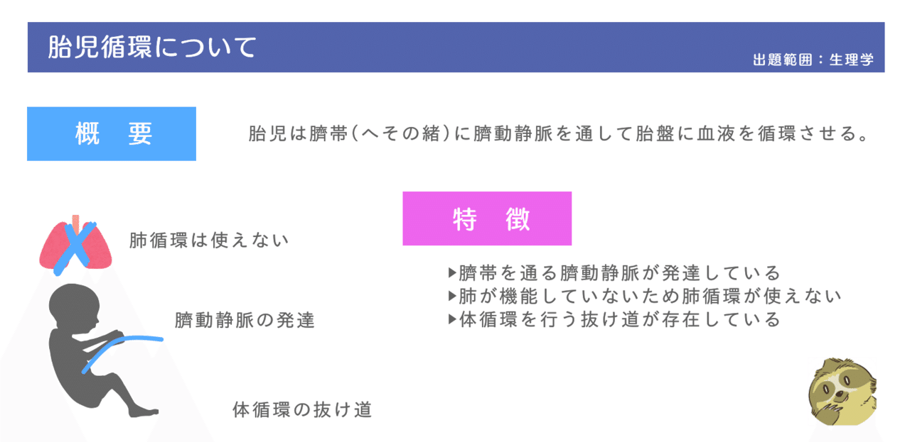 解剖学 図解イラストとゴロで簡単 胎児循環 の覚え方 森元塾 国家試験対策 Note 解剖学 図解イラストとゴロで簡単 胎児循環 の覚え方 森元塾 国家試験対策 Note