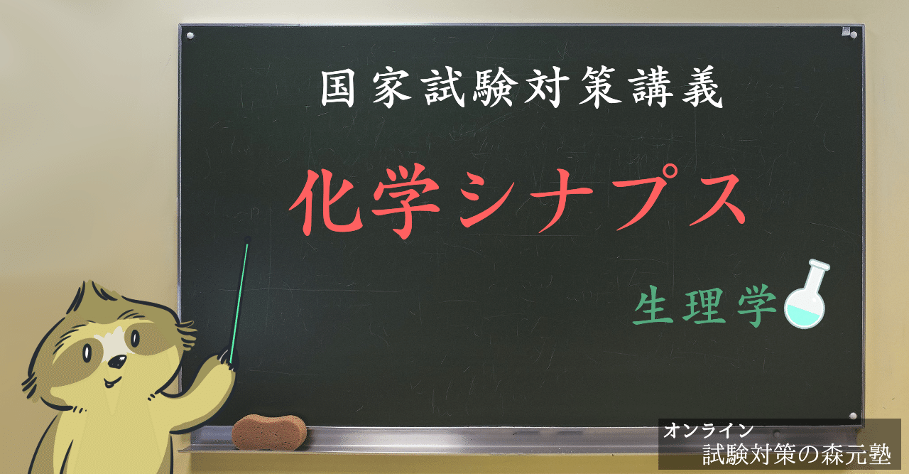 生理学 図解イラストとゴロで簡単 化学シナプスの構造 の覚え方 森元塾 国家試験対策 Note