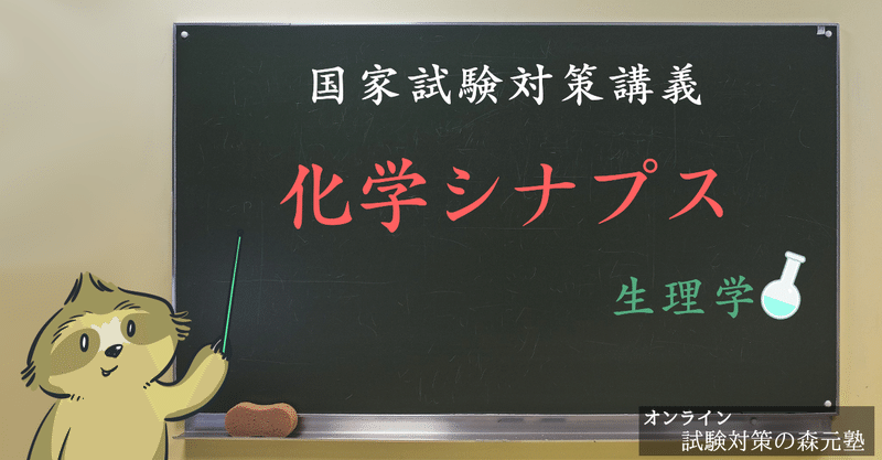 生理学 図解イラストとゴロで簡単 化学シナプスの構造 の覚え方 森元塾 国家試験対策 Note 生理学 図解イラストとゴロで簡単 化学シナプスの構造 の覚え方 森元塾 国家試験対策 Note