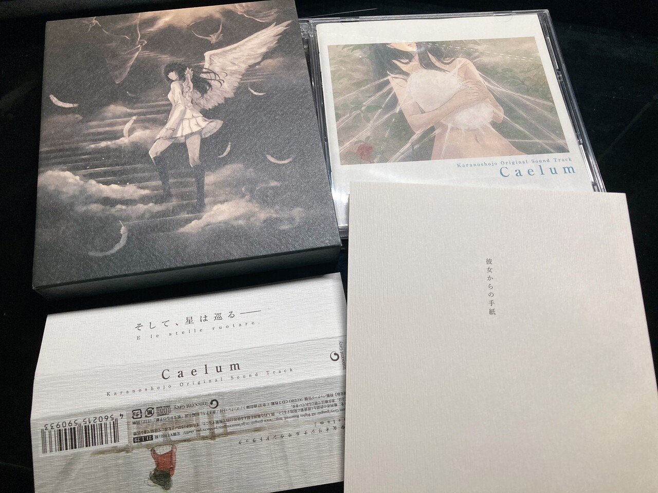 天ノ少女』感想｜こーへー