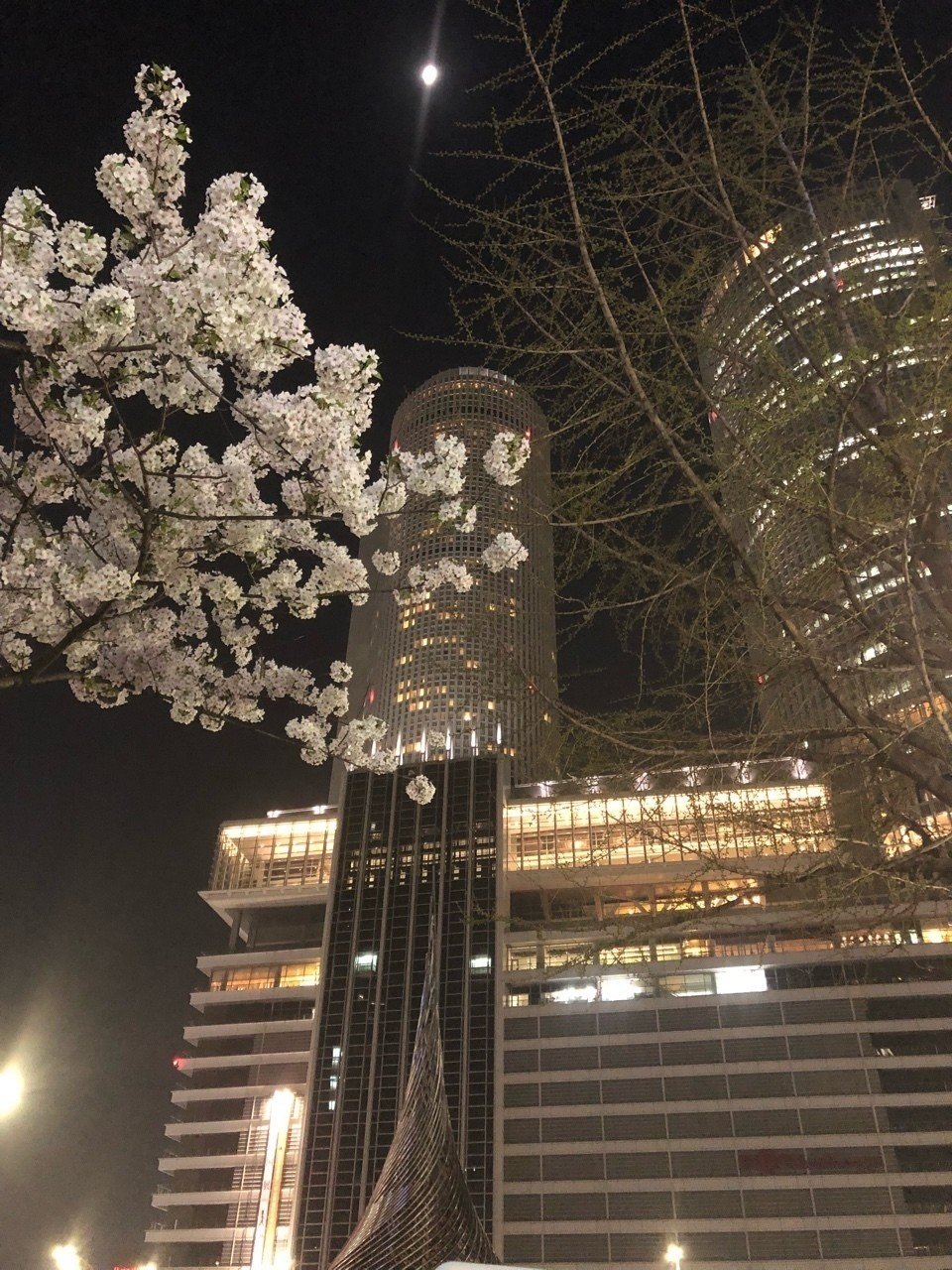 MIDI Library vol.15 TECHNO POP 1 YMO 電気グ JAPANESE - WHITE NOISE