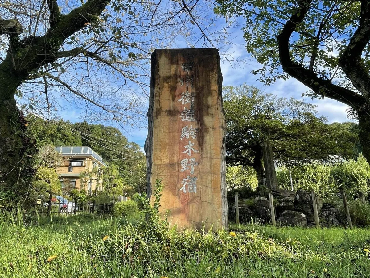画像31