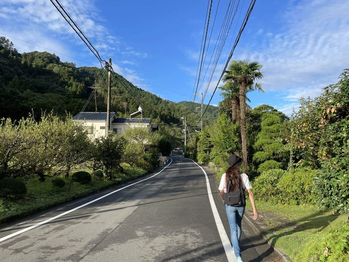 画像33