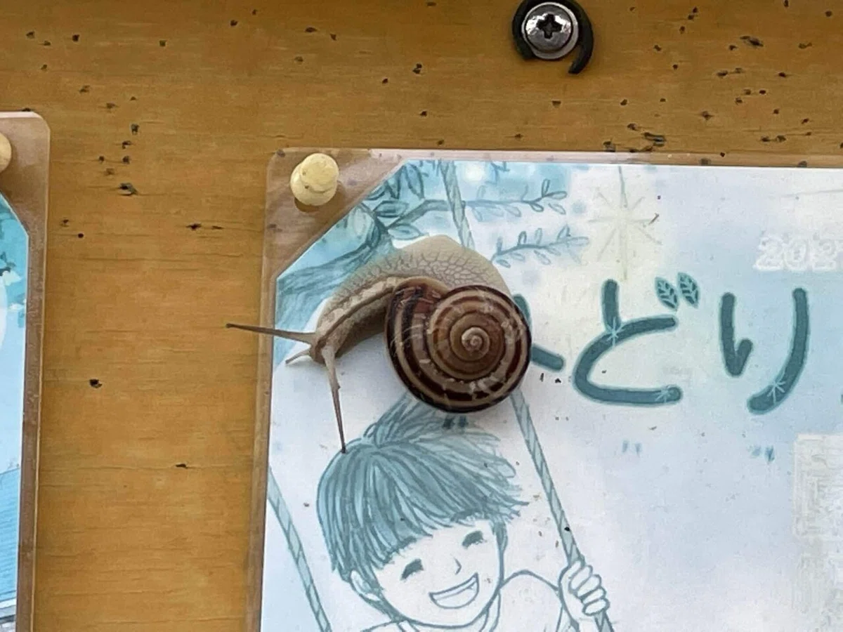 画像43