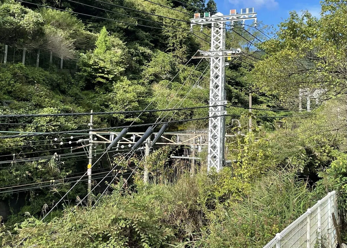 画像65