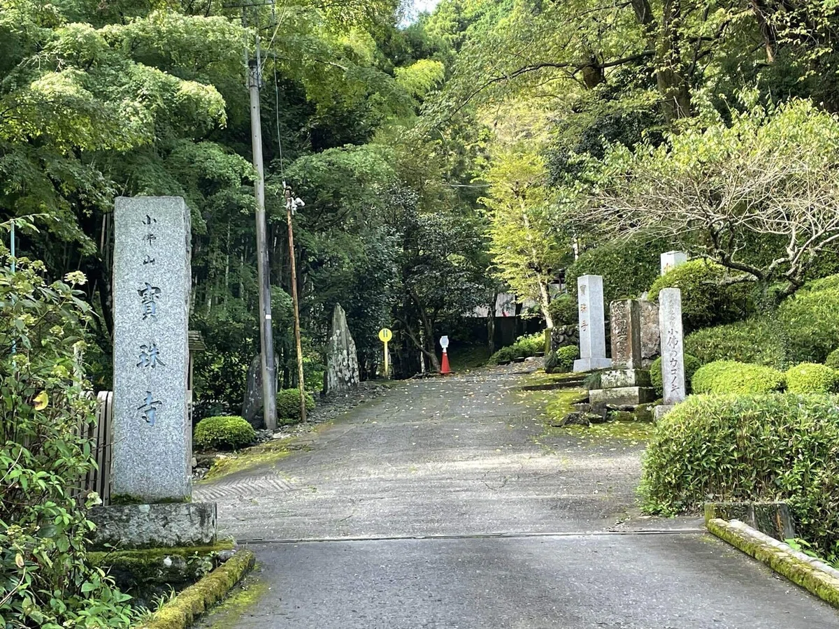 画像69