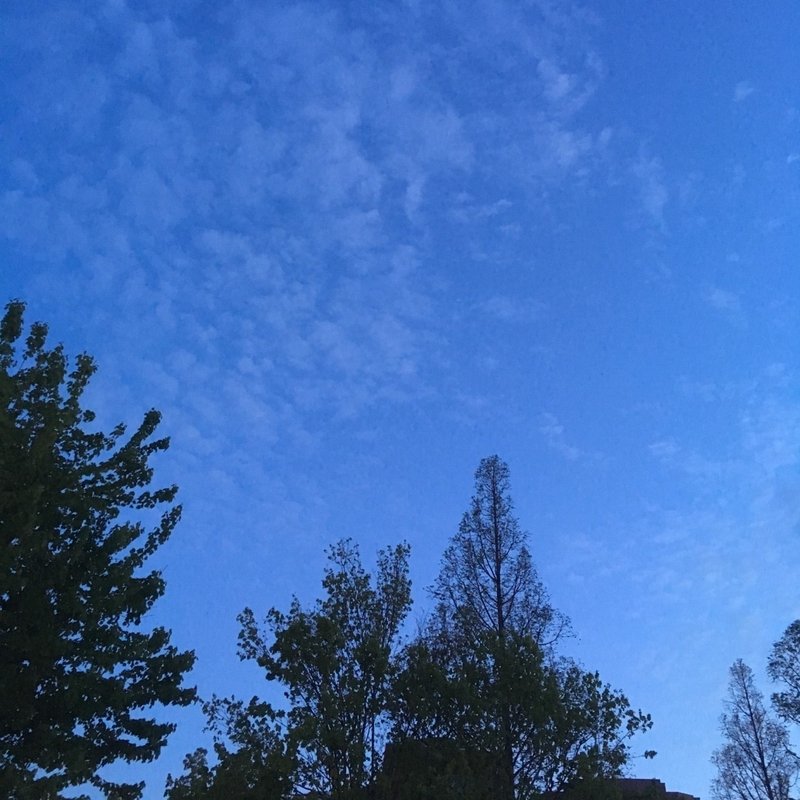 目に見えないものであふれている 畠 健太郎 Note