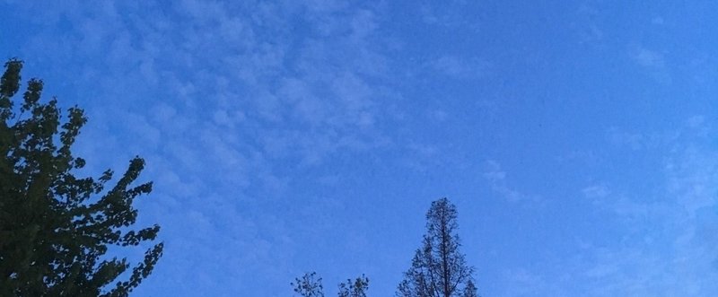 目に見えないものであふれている 畠 健太郎 Note