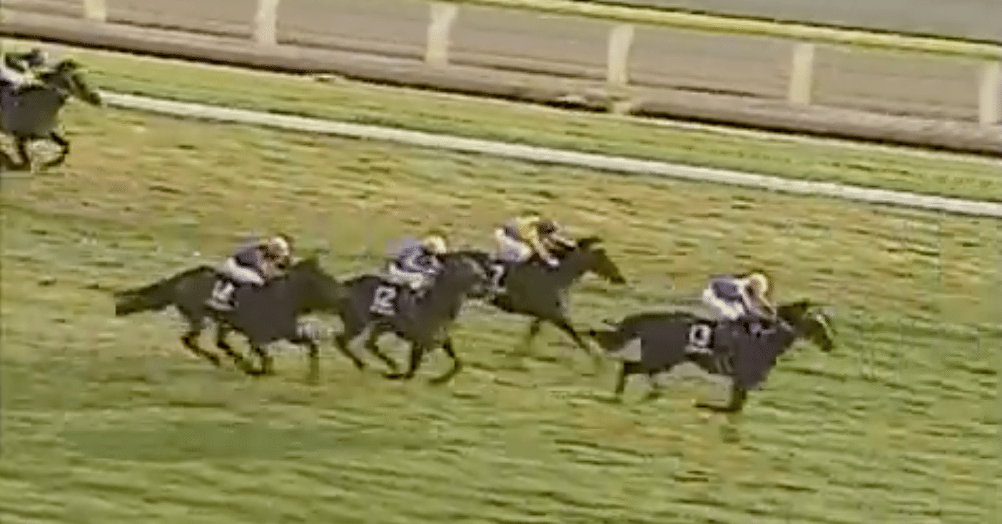 スペシャルウィークはえらい馬！〜競馬歴_'99｜稲庭うどん