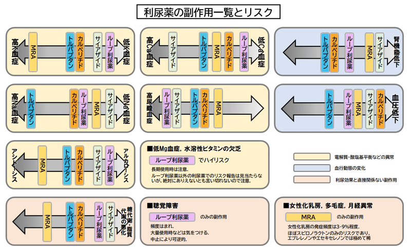 画像11