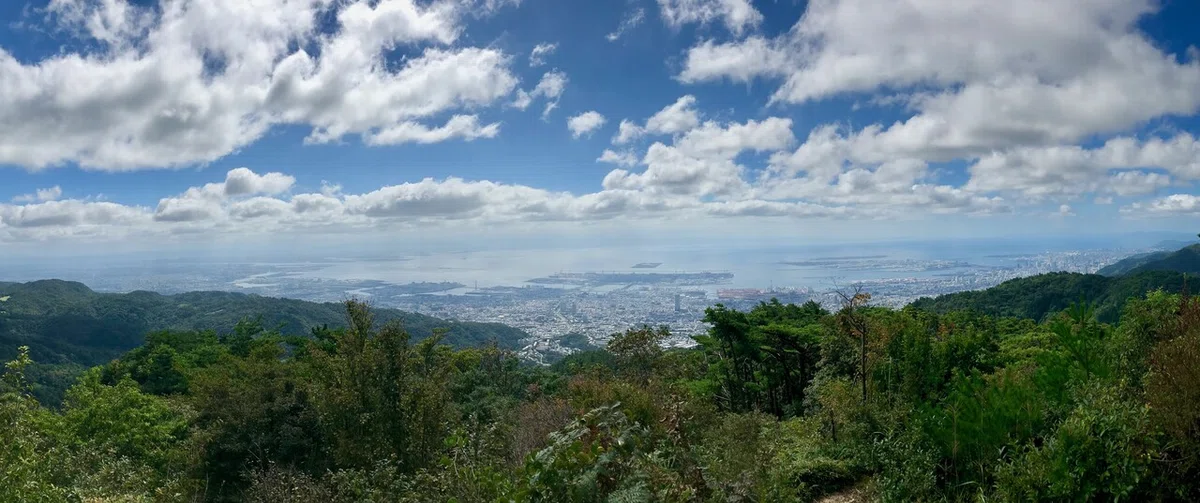 画像4
