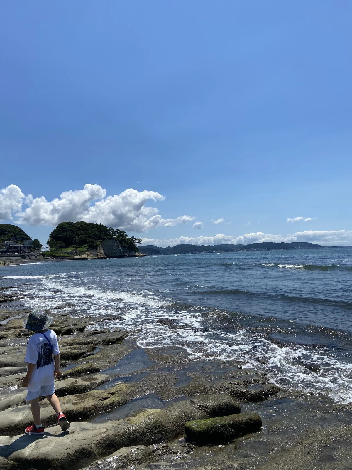 画像1