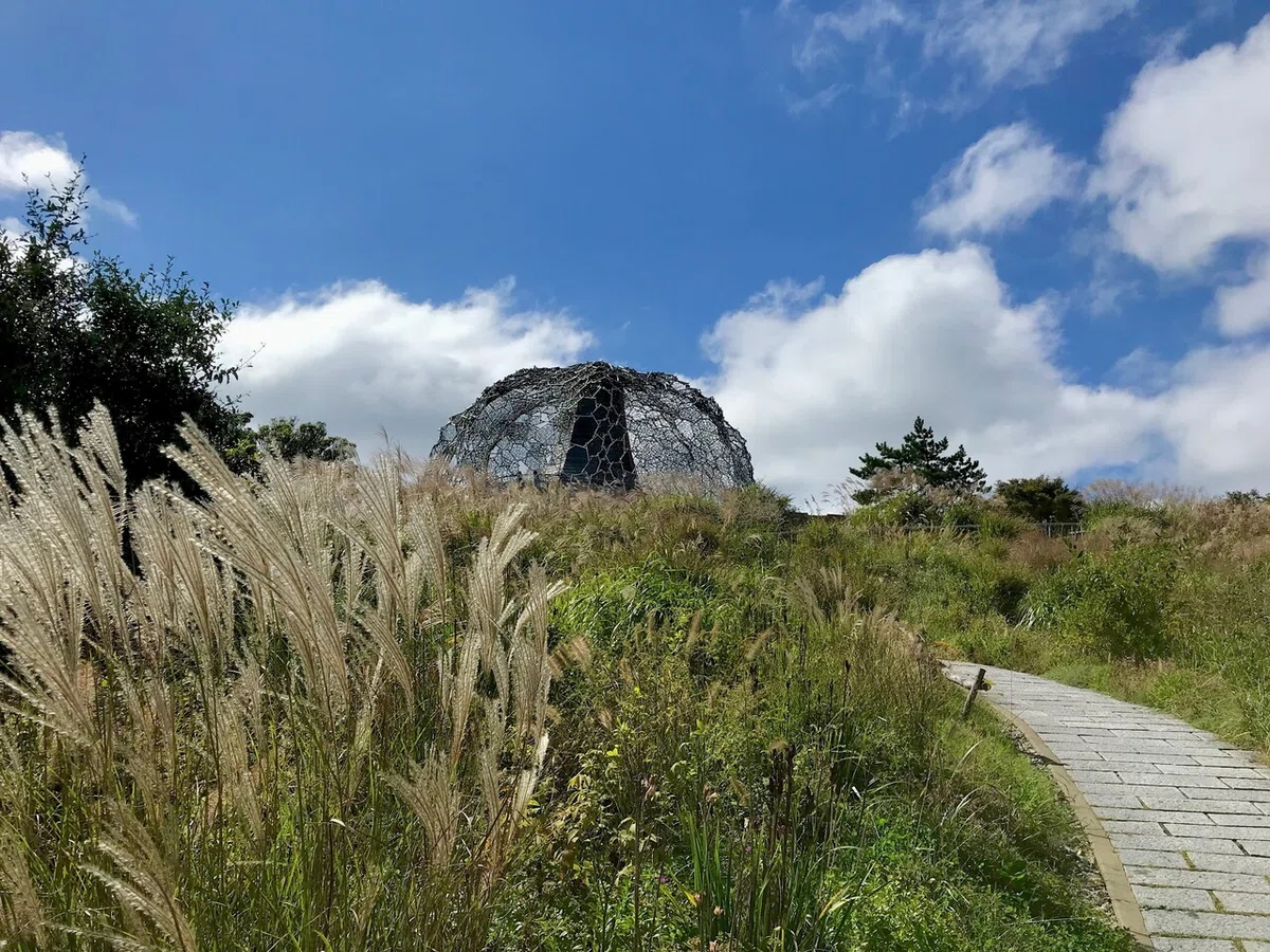 画像7
