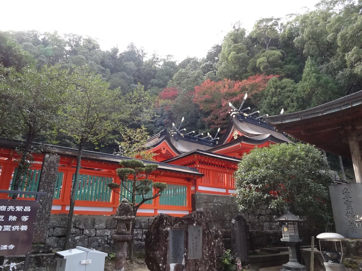 画像7