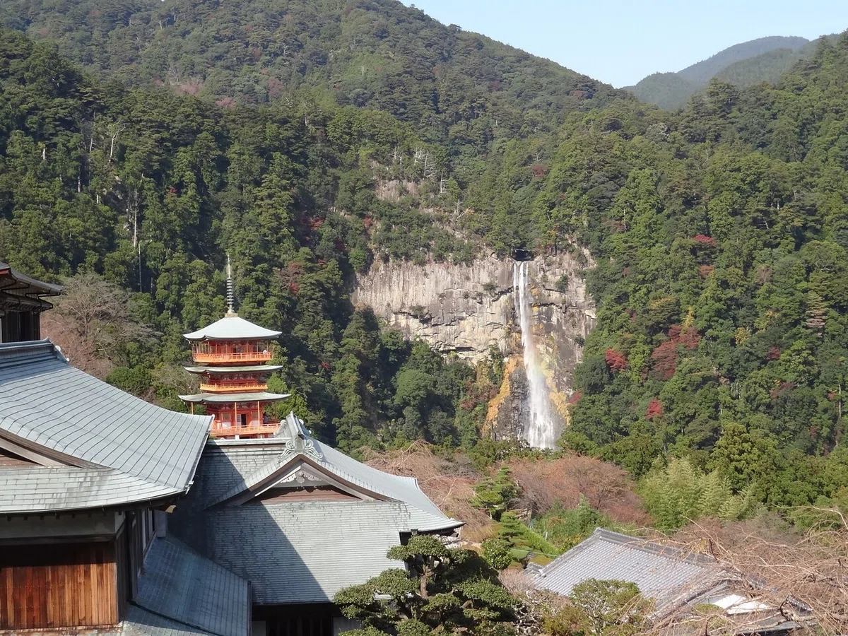 画像10