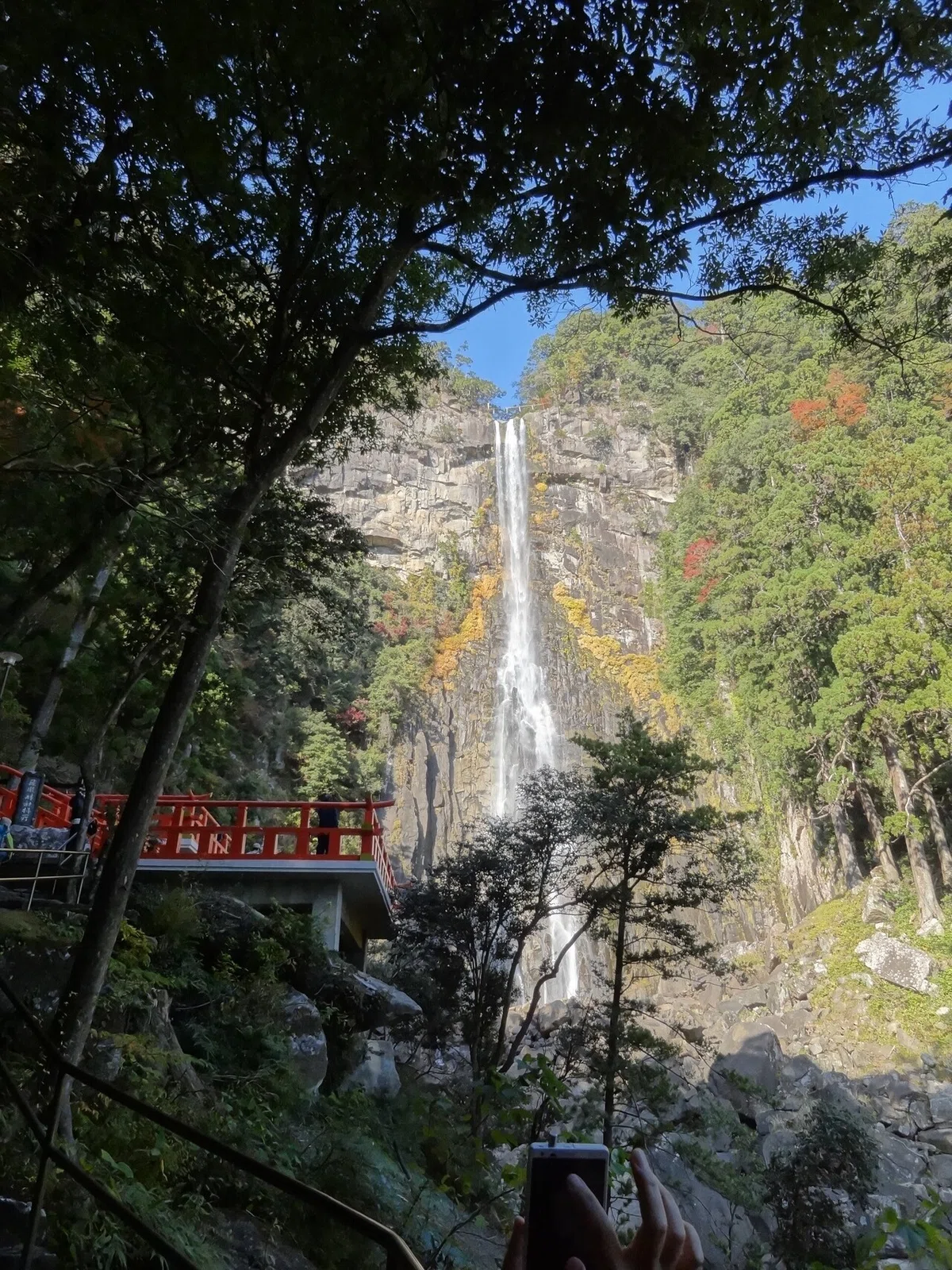 画像18