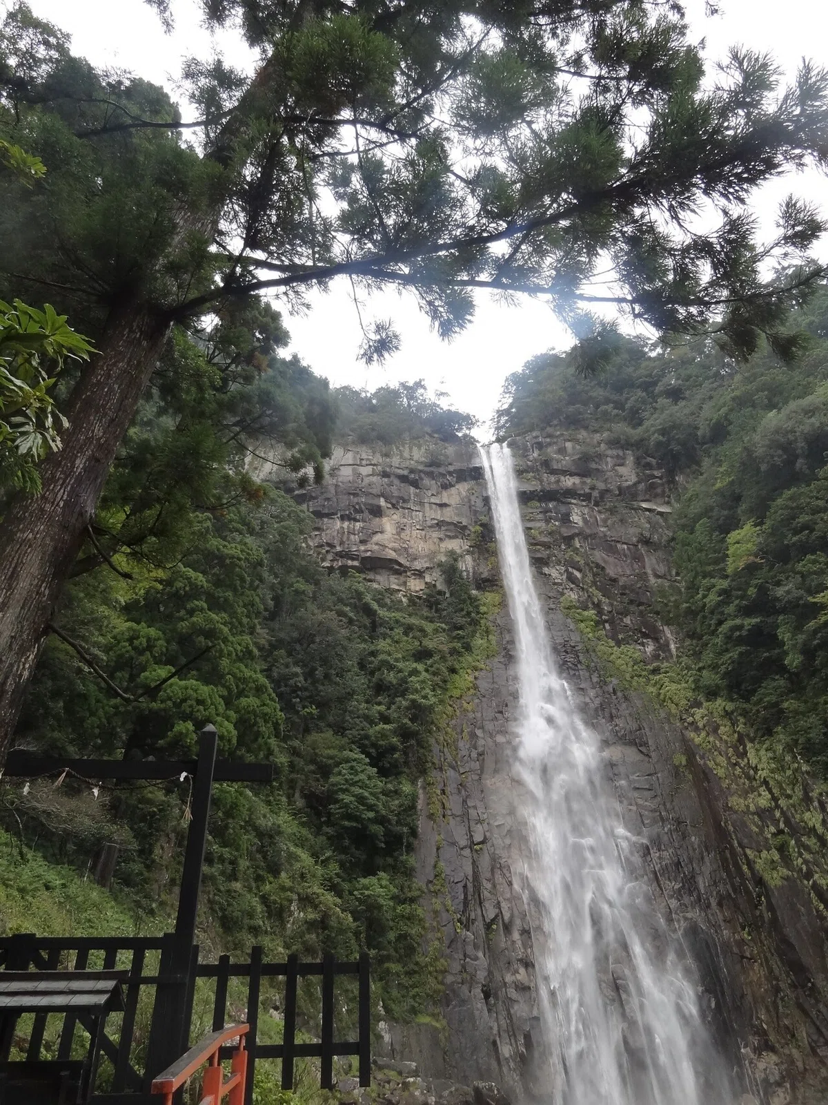 画像34