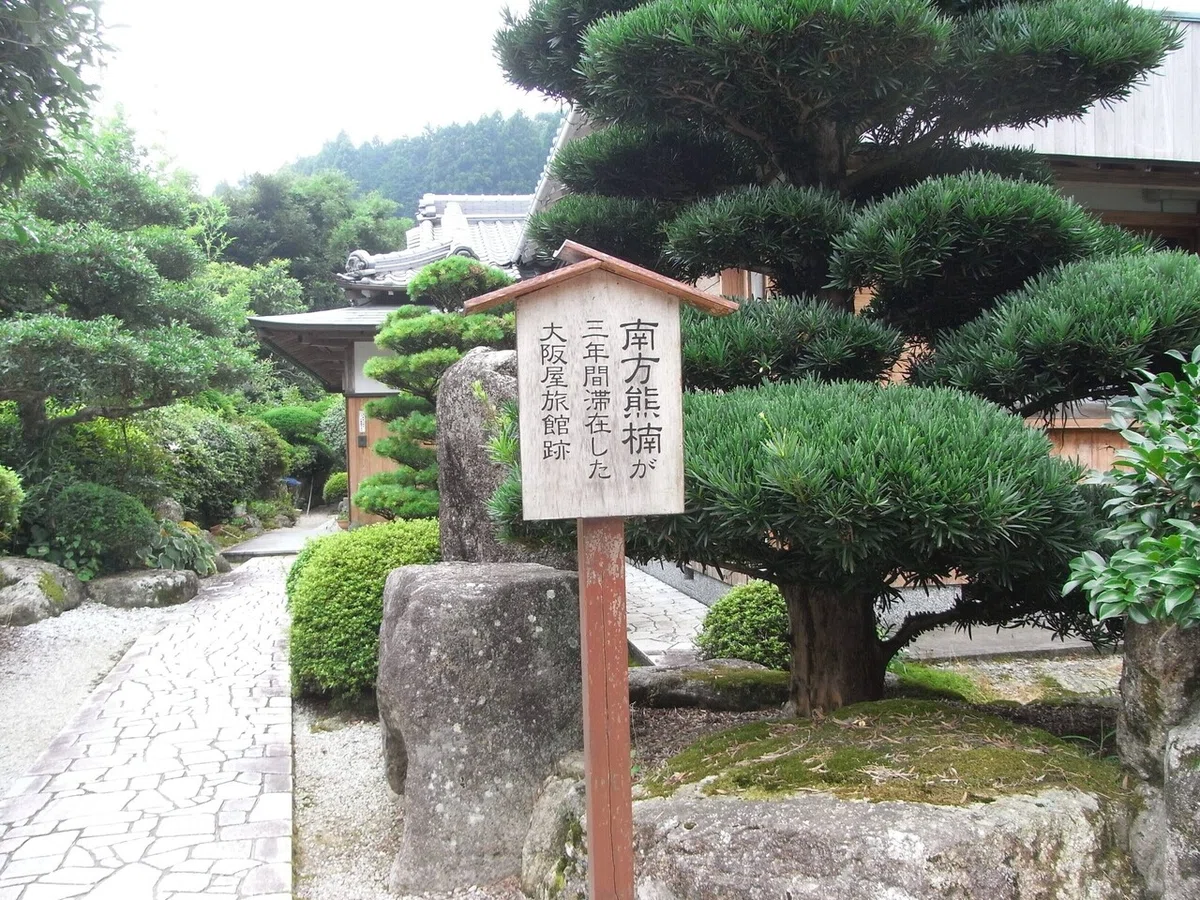 画像44