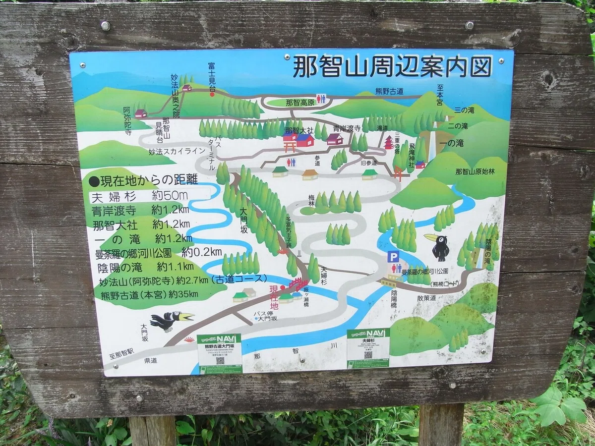 画像45