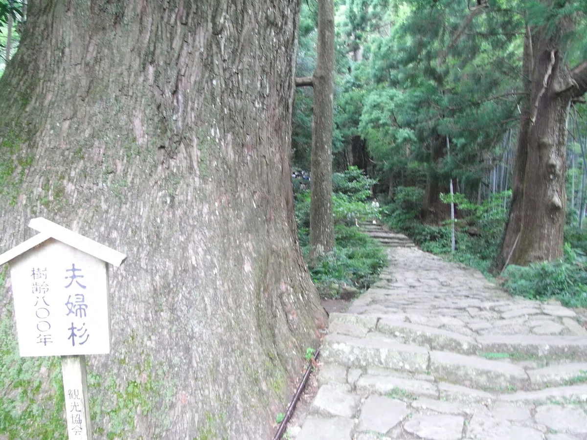 画像46