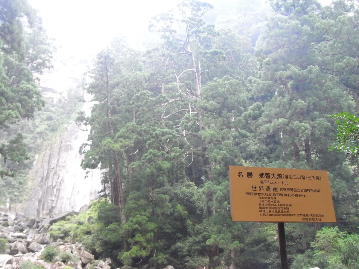 画像48