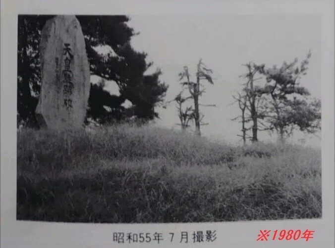 ★帝塚山古墳③